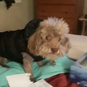 Meet your Posher, Debra